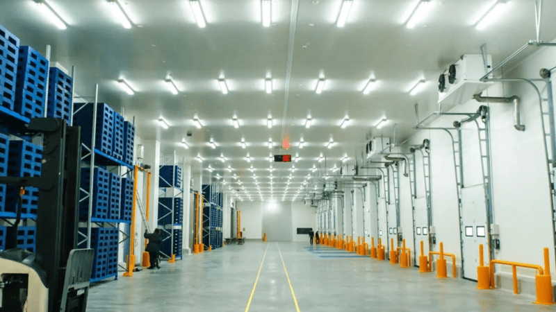 Temperature-Controlled Logistics in Indore